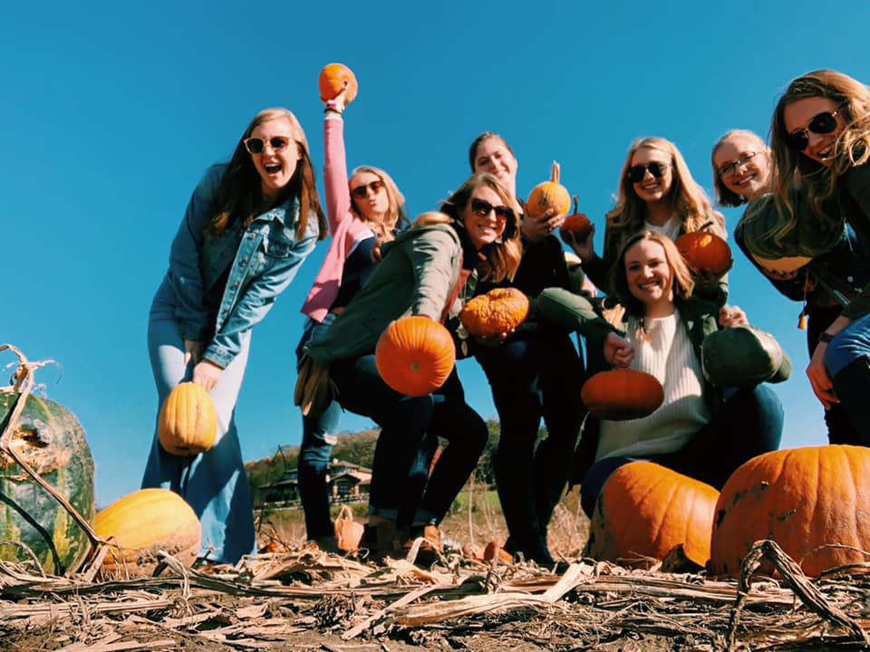 ultimate fall bucket list - pumpkin picking