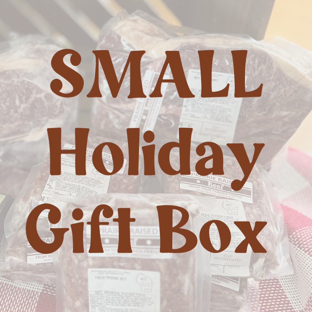 Very Merry Holiday Gift Box - SMALL